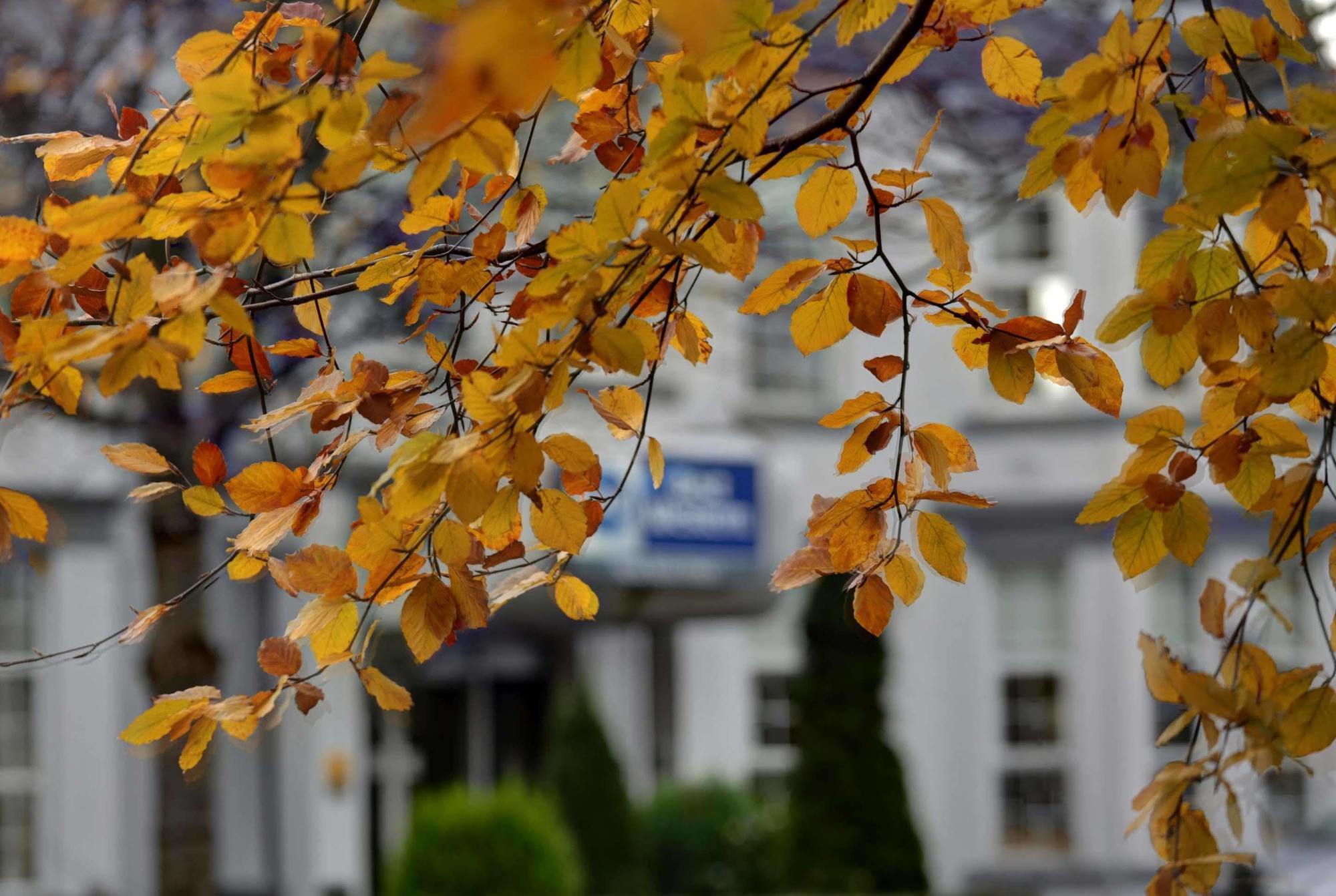 Best Western New Kent Hotel Newcastle-upon-Tyne Extérieur photo
